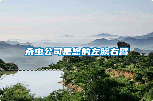 殺蟲(chóng)公司是您的左膀右臂