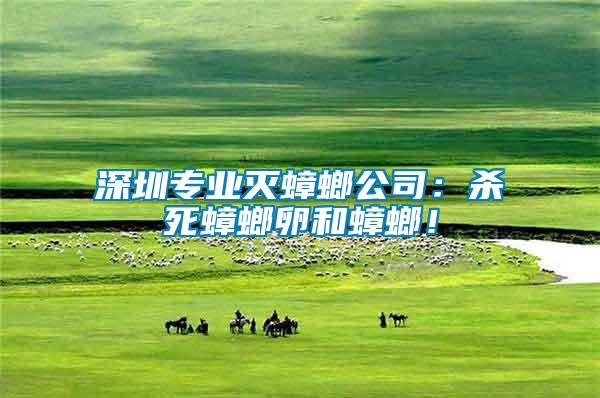 深圳專(zhuān)業(yè)滅蟑螂公司：殺死蟑螂卵和蟑螂！