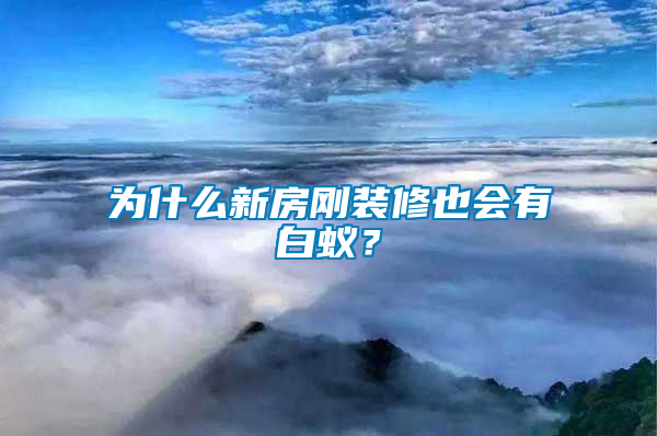 為什么新房剛裝修也會有白蟻？