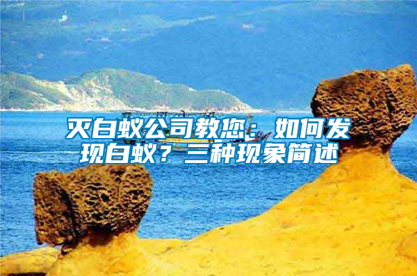 滅白蟻公司教您：如何發(fā)現(xiàn)白蟻？三種現(xiàn)象簡(jiǎn)述