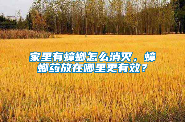 家里有蟑螂怎么消滅，蟑螂藥放在哪里更有效？
