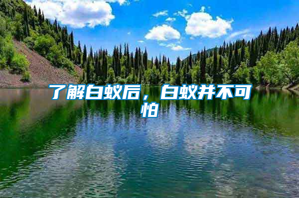 了解白蟻后，白蟻并不可怕