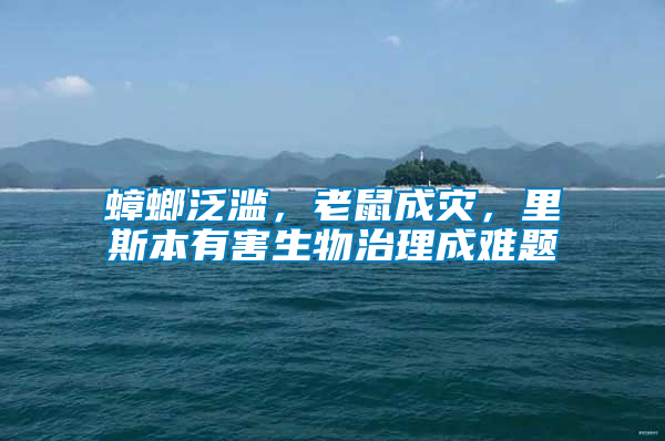 蟑螂泛濫，老鼠成災，里斯本有害生物治理成難題