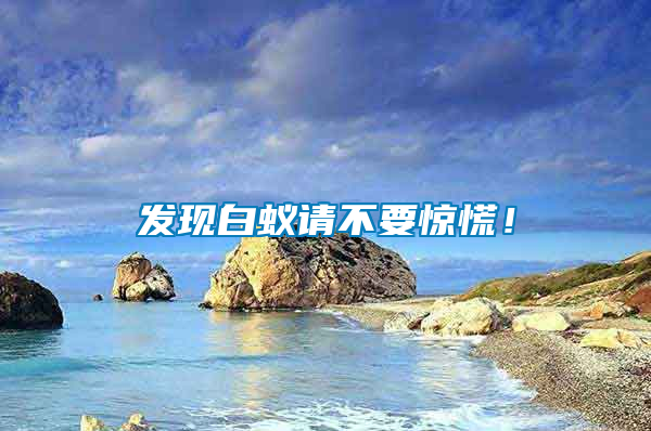 發(fā)現(xiàn)白蟻請不要驚慌！