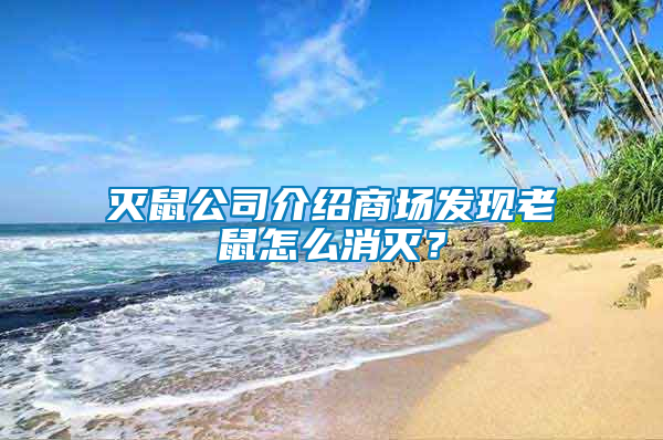 滅鼠公司介紹商場發現老鼠怎么消滅？