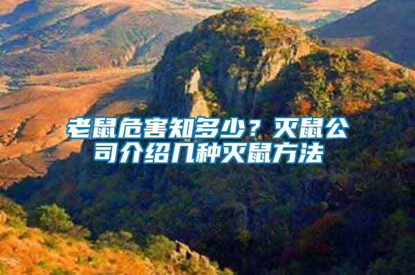 老鼠危害知多少？滅鼠公司介紹幾種滅鼠方法