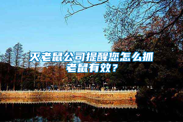 滅老鼠公司提醒您怎么抓老鼠有效？