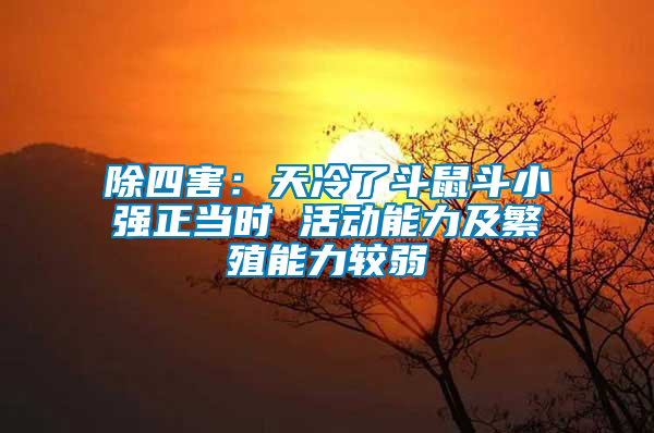 除四害：天冷了斗鼠斗小強(qiáng)正當(dāng)時 活動能力及繁殖能力較弱