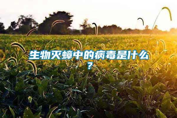生物滅蟑中的病毒是什么？
