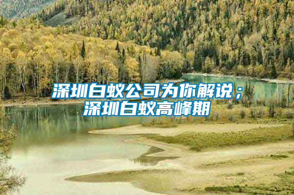 深圳白蟻公司為你解說(shuō)；深圳白蟻高峰期