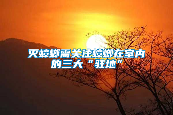 滅蟑螂需關注蟑螂在室內(nèi)的三大“駐地”