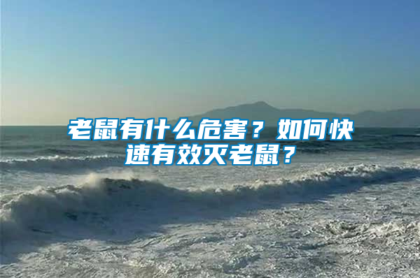 老鼠有什么危害？如何快速有效滅老鼠？