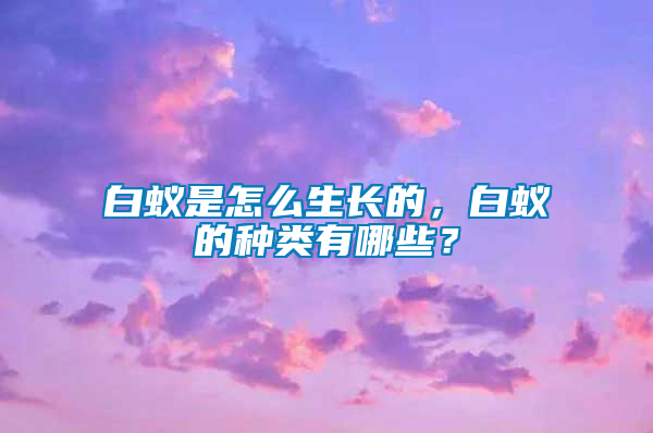 白蟻是怎么生長的，白蟻的種類有哪些？