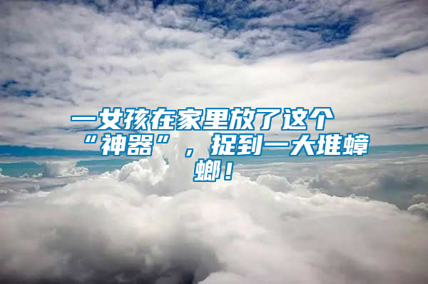 一女孩在家里放了這個“神器”，捉到一大堆蟑螂！