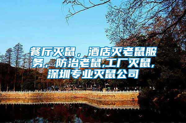 餐廳滅鼠，酒店滅老鼠服務，防治老鼠,工廠滅鼠,深圳專業滅鼠公司