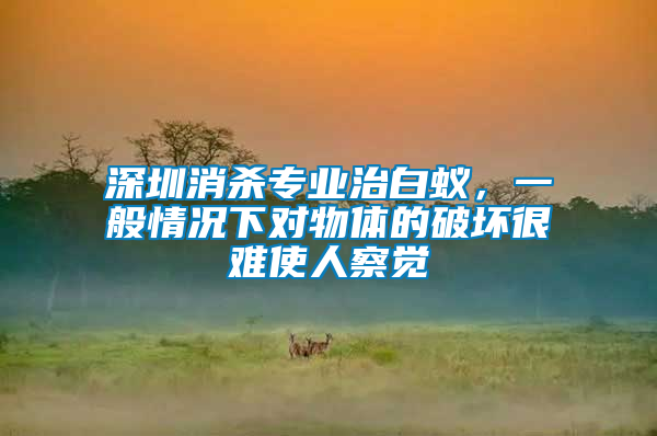 深圳消殺專業(yè)治白蟻，一般情況下對物體的破壞很難使人察覺