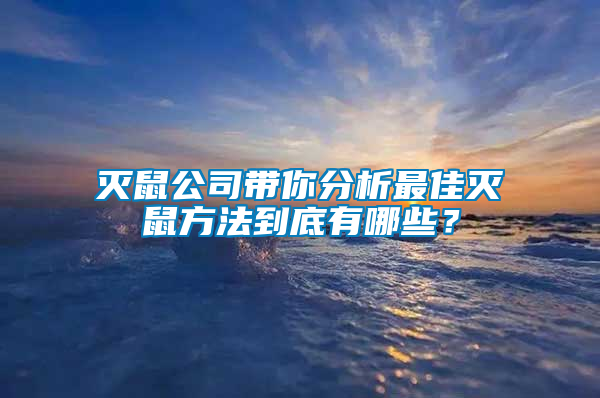 滅鼠公司帶你分析最佳滅鼠方法到底有哪些？