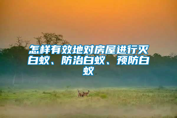 怎樣有效地對房屋進行滅白蟻、防治白蟻、預(yù)防白蟻
