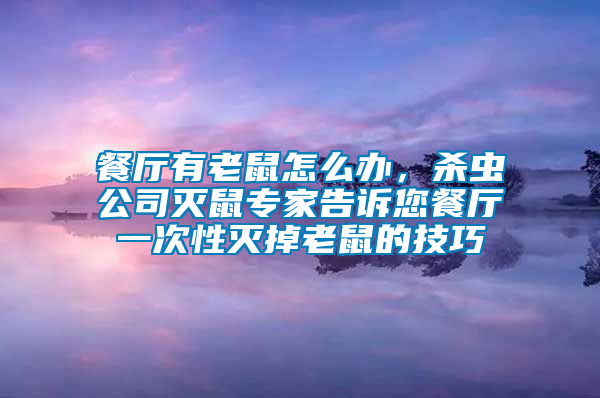 餐廳有老鼠怎么辦，殺蟲公司滅鼠專家告訴您餐廳一次性滅掉老鼠的技巧