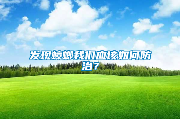 發現蟑螂我們應該如何防治？