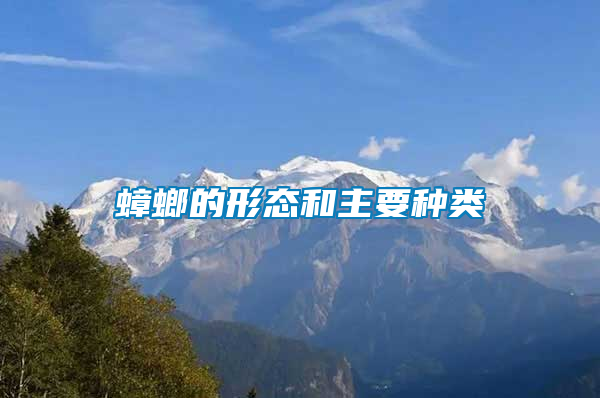 蟑螂的形態(tài)和主要種類(lèi)