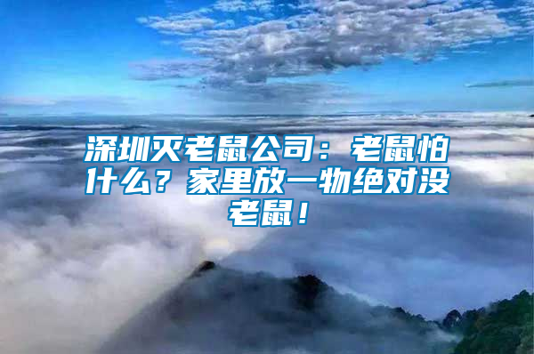 深圳滅老鼠公司：老鼠怕什么？家里放一物絕對沒老鼠！