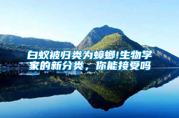 白蟻被歸類為蟑螂!生物學(xué)家的新分類，你能接受嗎