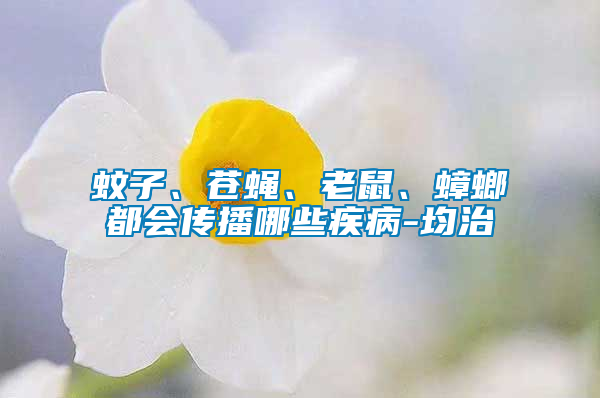 蚊子、蒼蠅、老鼠、蟑螂都會傳播哪些疾病-均治