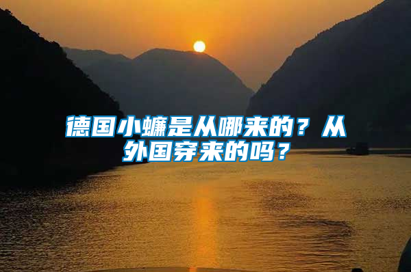 德國(guó)小蠊是從哪來(lái)的？從外國(guó)穿來(lái)的嗎？